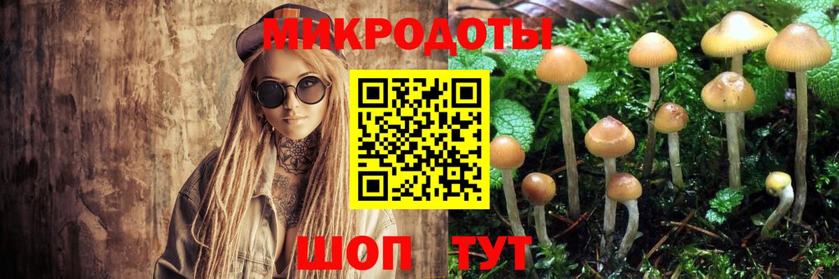 Галлюциногенные грибы Magic Shrooms Тольятти